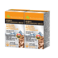 메이플트리보라지유