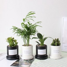 무광미니물티슈