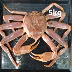 신의수산 러시아 자숙대게 박달대게 스노우크랩 특A급 요리 찜, 1박스, 5kg