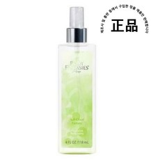 바디판타지소프트클라우드