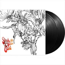 (2LP) 서울전자음악단 - 2집 Life Is Strange (180g) (Gatefold)