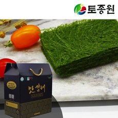 도시락용감태