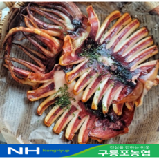 동해안 포항 구룡포 피데기 반건조오징어 손질오징어 통오징어 5미 배오징어 반건오징어 피대기[구룡포농협]