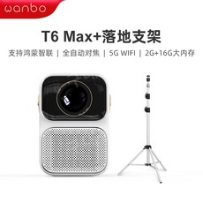 t6max