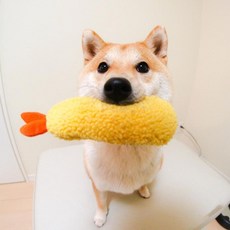 일본로봇강아지