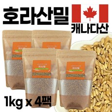 에코홀릭 호라산밀 캐나다산 1kgX4팩 고대곡물 착한탄수화물 + 마스크팩 사은품 증정, 1kg, 4개