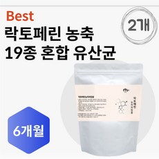 성인배앓이