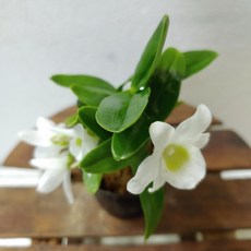 3a6fa7b5e16d71afad51b099ee2d07bdd3cf7d060452f2da2dd6b33dcc8a.jpg