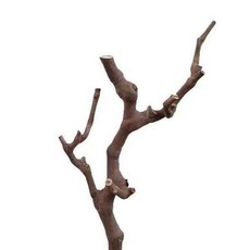 파충류 나무 놀이터 나뭇가지 탱크 수족관 포도, 1개, 20cm 받침대 없음