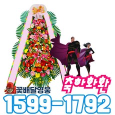 경기도광주천연잔디판매