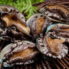 완도 특대 활전복 11미 전복 참전복 선물세트, 1개