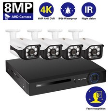 영어 설명서 HD 8ch 안면 영상 감시 키트 보안 카메라 시스템 8MP CCTV IP66 방수 카메라 영상 감시 이메일 경보, 없다, 8채널 DVR 카메라 4개