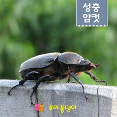 629ad2a50d2e38e746fd580937d2b201a1be9390e90305a9d643fc012661.jpg