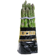 굵고 튼실한 생 아스파라거스 500g내외 이강산닷컴, 1개, 500g