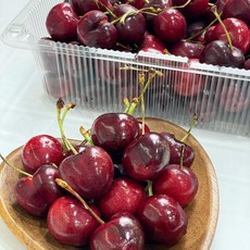 [제철365] 싱싱한 상큼달콤 체리 생체리, 1개, 5kg (중)