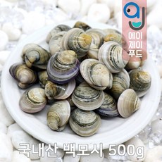 살아있는 자연산 모시조개 500g 1kg (백모시 흑모시 가무락 봉골레파스타 조개탕 조개육수), 선택03. 백모시(국내산) 500g, 1개