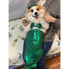 강아지 인어 드레스 3종 공주 의상 고양이 물고기 꼬리 옷 코스프레 촬영 소품, B. 그린 (머리장식+상의+하의 3종세트), 1개