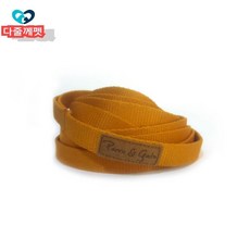 순둥이와댕댕이