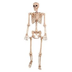 d82f82b01f6d325b67224d3b209ea0f6fd2661a53af04f7e7d6462293f6c.jpg