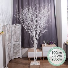실내인테리어 인조나무 123종 / 플트 조화나무 C, C18.라인-화이트소원나무 250cmK/사방형, 1개