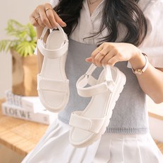 분홍코끼리웨지