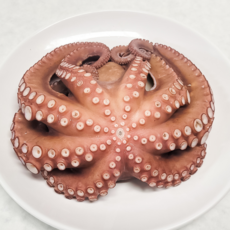 통영 제수용 돌문어 산지직송, 1개, 1kg