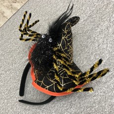 대구거미콘서트