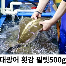 국내산 2kg이상 초신선 대광어 필렛 횟감500g, 1개
