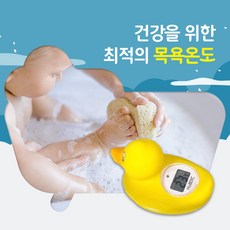 휴비딕퍼니퍼니덕hbt-30세척