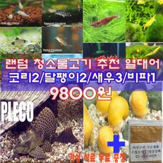 00f406a719c8bcae2d1f85be582d003f03e3f5e2be4a9168b9e832b01067.jpg