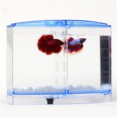 어항 수조 칸막이 어항분리 격리박스 치어망 걸이식 부화통 그물 미니 물고기 탱크 수족관 Betta 상자 투명 Arcylic 물고기 번식 작은 수족관 물고기, 단일, 미국
