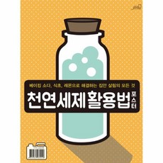 천연세제책