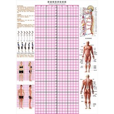 자세평가블라인드