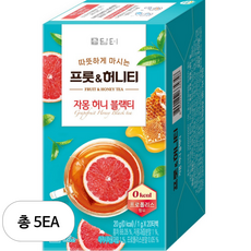 담터 프룻 앤 허니 자몽허니블랙티, 1g, 20개입, 5개