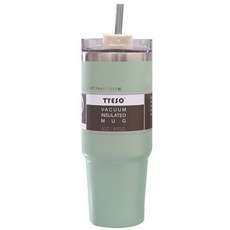 TYESO 진공단열 대용량 빨대 텀블러, 민트, 890ml