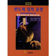 반도체공정의이해