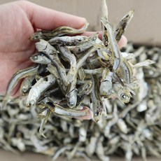 동해청정 다시멸치 햇멸치 대멸치 육수내기 멸치국물, 1.5kg(중품A/박스), 1개