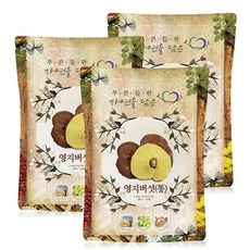푸른들판 국내산 영지버섯, 3개, 500g