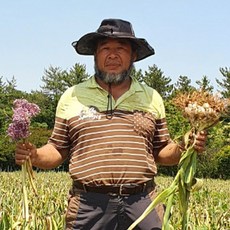 홍산마늘판매