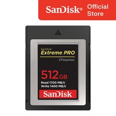 샌디스크 Extreme Pro CFexpress Type B타입 메모리 카드, 512GB