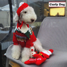 디작소 컬리독 강아지 크리스마스 니트 + 목도리 2종 세트, M