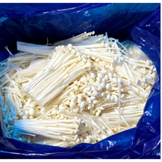 팽이버섯 업소용 벌크 가정용 식당 못난이 2kg 4kg [원산지:국산 등], 1개
