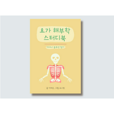 [요가 해부학 스터디북] + 추가옵션: 포스터 & 요가 원데이 클래스, 뼈 명칭