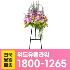 7ec9ba1cf6a30ce360754a96a28b417d82cac5a0507a8b3ce75df7875fc7.jpg