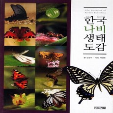 사계절사진장소