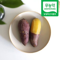 해나미고구마
