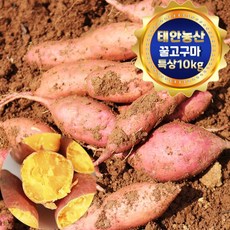 태안농산 해풍맞고 자란 꿀고구마 특상(100g-290g) 10Kg, 단품