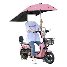 스쿠터 캐노피 덮개 우산 선스크린 탑박스 자외선, E, 1개