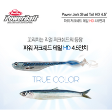[버클리] 파워 저크쉐드 테일 HD 4.5인치 광어다운샷 파워베이트, PBBPJT4.5-HDRBT