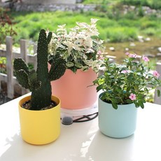 플라팜쿠션체어